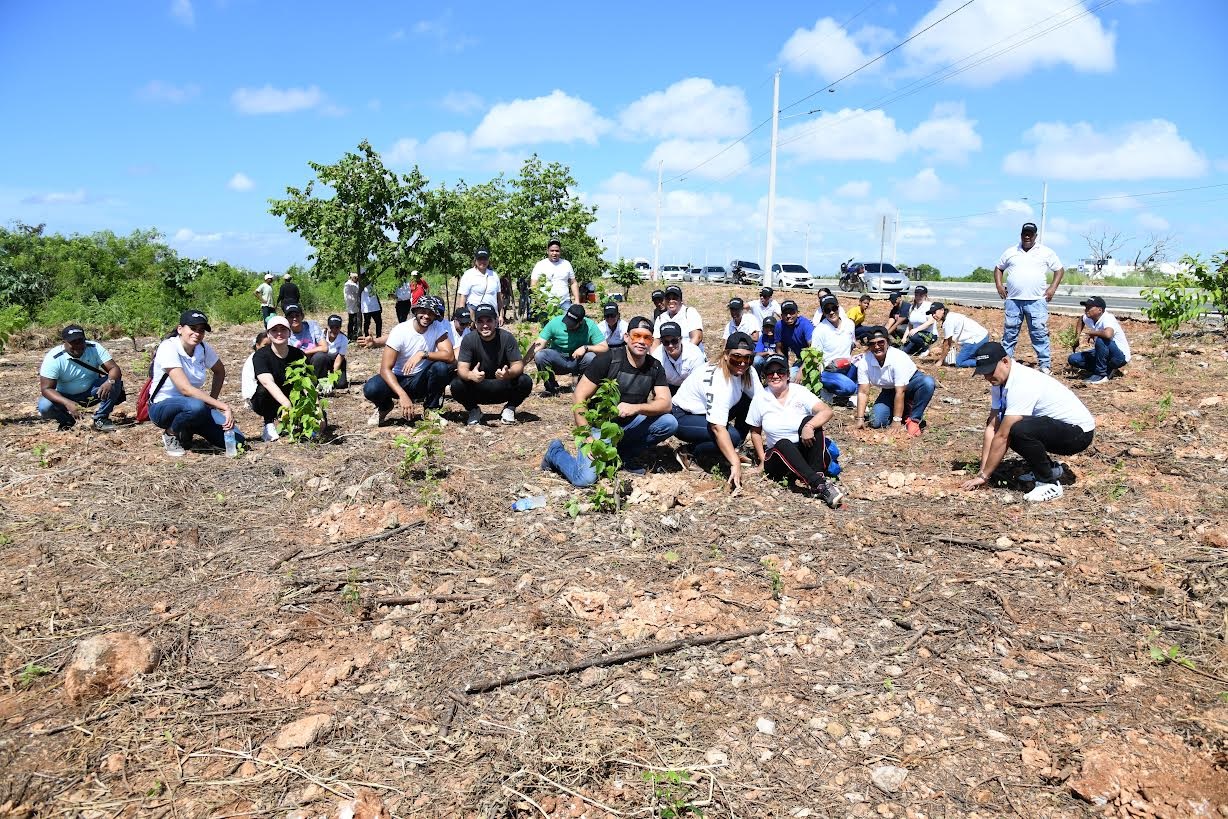 Colaboradores de la ONDA realizan jornada de reforestación en la Avenida Ecológica de SDE jornada reforestación onda.