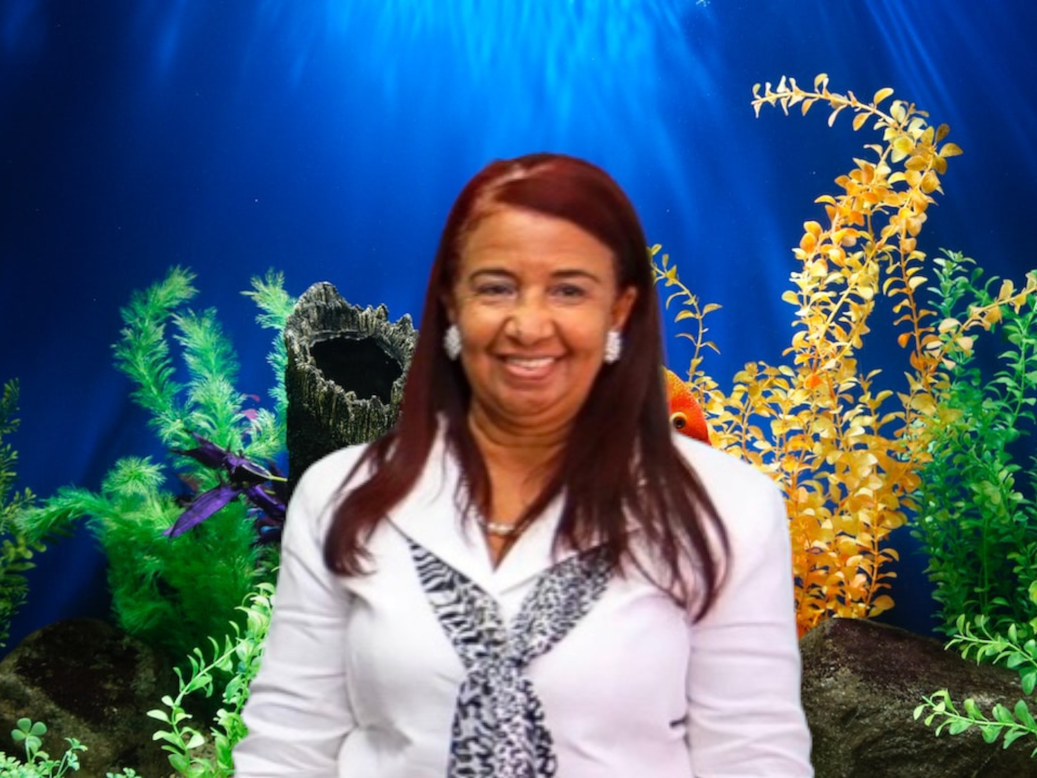 Presidente Abinader suspende a directora del Acuario Nacional Wanda García, Acuario Nacional.
