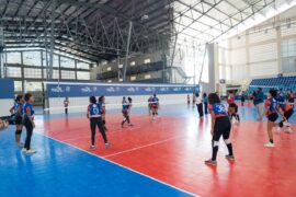 voleibol