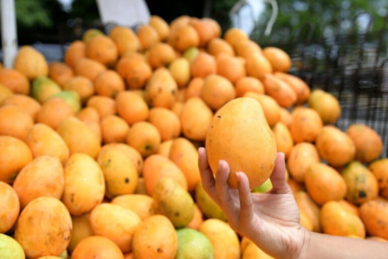 mango